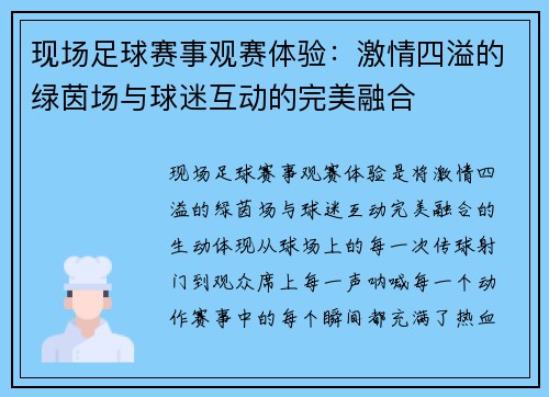 现场足球赛事观赛体验：激情四溢的绿茵场与球迷互动的完美融合