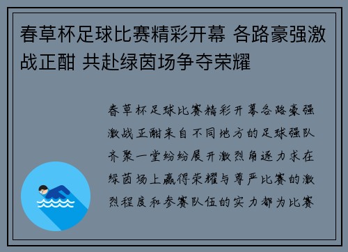 春草杯足球比赛精彩开幕 各路豪强激战正酣 共赴绿茵场争夺荣耀