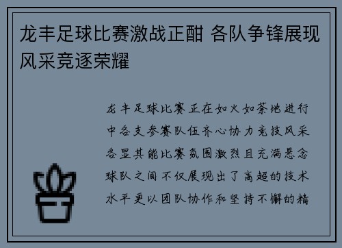 龙丰足球比赛激战正酣 各队争锋展现风采竞逐荣耀
