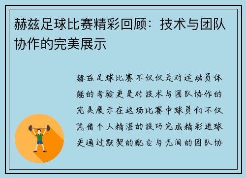 赫兹足球比赛精彩回顾：技术与团队协作的完美展示