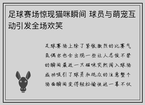 足球赛场惊现猫咪瞬间 球员与萌宠互动引发全场欢笑