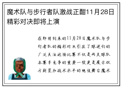 魔术队与步行者队激战正酣11月28日精彩对决即将上演