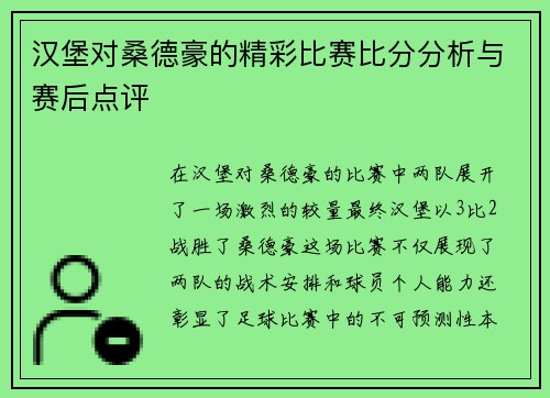 汉堡对桑德豪的精彩比赛比分分析与赛后点评