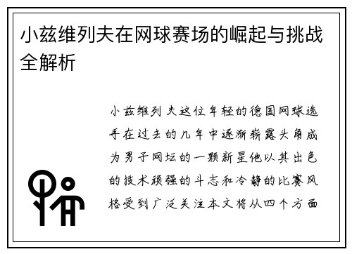 小兹维列夫在网球赛场的崛起与挑战全解析