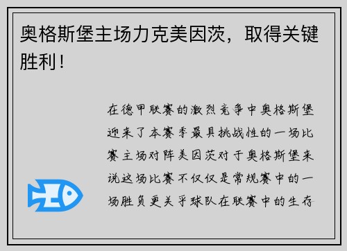 奥格斯堡主场力克美因茨，取得关键胜利！