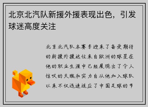 北京北汽队新援外援表现出色，引发球迷高度关注