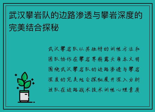 武汉攀岩队的边路渗透与攀岩深度的完美结合探秘